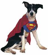 Superman Pet Costume-0