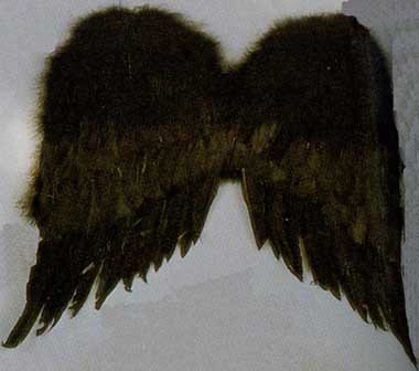 Black Feather Wings - 22 inch-0