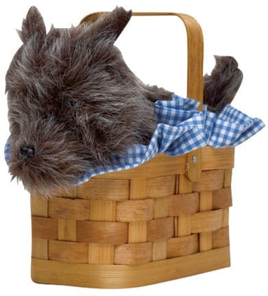 Doggie Basket Handbag-0
