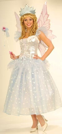 Tooth Fairy Adult Costume-0