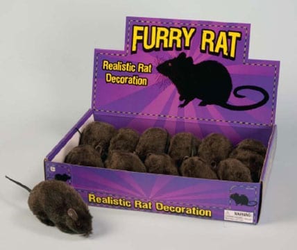 Furry Black Rat-0
