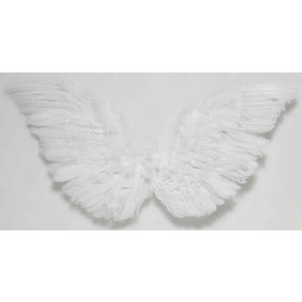 Angel Wings-0