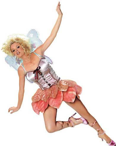 Summer Fairy Adult Costume-0
