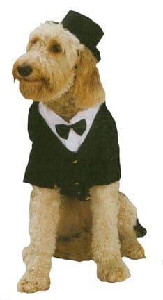 Dapper Dog Pet Costume-0