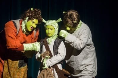 Shrek Costumes