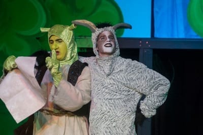 Shrek The Musical Rental Costumes Available Costume Holiday House