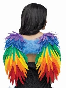 Rainbow Feather Wings-0