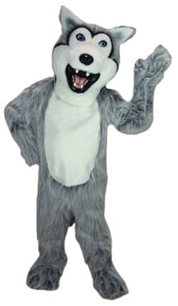 Grey Husky Mascot-0