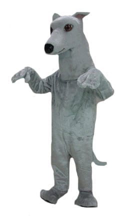Greyhound Mascot-0