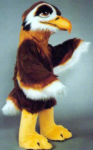 Regal Hawk with Regular Bird Feet-0