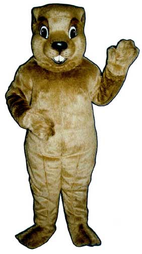 Groundhog Mascot Costume-0