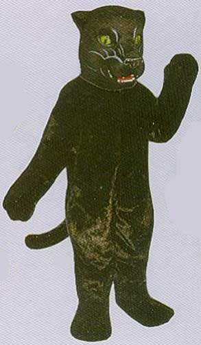 Black Panther Mascot costume-0